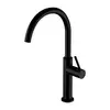 Image de OMNIRES TULA Mitigeur de cuisine pivotant, TL6050BL,