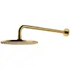 Image de OMNIRES Universal Set de douche de tête, 1 jet, WGSET1GLB,