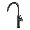 Image de OMNIRES TULA Mitigeur de cuisine pivotant, TL6050GR,