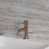 Image de OMNIRES Y Mitigeur de lavabo, Y1210NCPB,