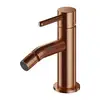 Image de OMNIRES Y Mitigeur de bidet, Y1220CPB,