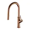 Image de OMNIRES BEND Mitigeur de cuisine pivotant, avec douchette extractible, BE6455CPB,