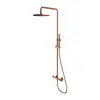 Image de OMNIRES Y Colonne de douche avec mitigeur monocommande, Y1244MCPB,