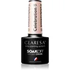 Image de Claresa SoakOff UV/LED Color Celebration vernis à ongles gel teinte 8 5 g