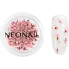 Image de NEONAIL Dried Flowers fleur séchée ongles teinte Pink 1 pcs