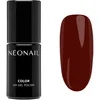 Image de NEONAIL Let's Make Memories vernis à ongles gel teinte Joy In Every Moment 7.2 ml