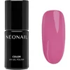 Image de NEONAIL Let's Make Memories vernis à ongles gel teinte Ticket To Anywhere 7.2 ml