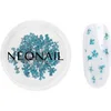 Image de NEONAIL Dried Flowers fleur séchée ongles teinte 05 Turquoise 1 pcs