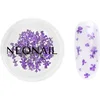 Image de NEONAIL Dried Flowers fleur séchée ongles teinte 06 Violet 1 pcs