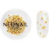 Image de NEONAIL Dried Flowers fleur séchée ongles teinte 07 Yellow 1 pcs