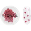 Image de NEONAIL Dried Flowers fleur séchée ongles teinte 08 Red 1 pcs