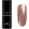 Image de NEONAIL Winter Symphony vernis à ongles gel lampe UV/LED teinte Frozen Flame 7.2 ml