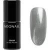 Image de NEONAIL Winter Symphony vernis à ongles gel lampe UV/LED teinte Silver Sheen 7.2 ml