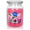 Image de BISPOL Premium Line Rose bougie parfumée 500 g