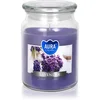 Image de BISPOL Premium Line Lavender bougie parfumée 500 ml