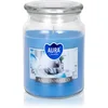 Image de BISPOL Premium Line Anti Tabacco bougie parfumée 500 g