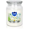 Image de BISPOL Premium Line Blooming Jasmine bougie parfumée 500 g