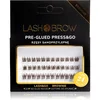Image de Lash Brow Press&Go Self-Adhesive Eyelashes grappes de faux-cils auto-adhésifs Daily Natural Brownie 1 pcs