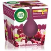 Image de Air Wick Essential Oil Mountain Berry Blossom bougie parfumée 105 g