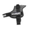 Image de JULIUS K-9 Power, Anthracite, Taille - L/1