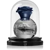Image de Lattafa Pride Thouq Eau de Parfum mixte 80 ml