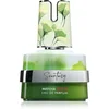 Image de Armaf Scentasy Matcha Magix Eau de Parfum mixte 100 ml