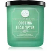 Image de DW Home Signature Cooling Eucalyptus bougie parfumée 269 g