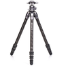 Image de Benro Tortoise 14C + rotule GX25