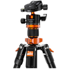 Image de K&F Concept K254A3+BH-28L Trépied Aluminium Soldes été 2026