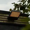 Image de Lutec Atlantis Applique murale à 1 source lumineuse, LED, 7801603118,