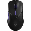 Image de RAPOO VT9Pro 4K Souris gaming sans fil - Noir