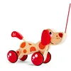 Image de Hape Chien Jouet en Bois Enfant 1 an - Jouet à Tirer et Pousser - Motricité, Imagination & Dextérité de l'enfant - Jouet 1 an 100% Sûre - avec Ficelle Facile à Saisir pour Les Petites Mains