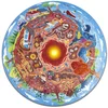 Image de Hape Puzzle Du Monde Souterrain