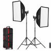 Image de Godox Kit 2 Torches LED SL100D