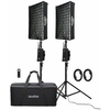 Image de Godox Kit de 2 Torches LED flexibles FL100