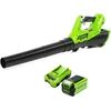 Image de Greenworks G40ABK2 Souffleur à Batterie Axial de Feuilles Mortes Sans Fil, avec Régulateur de Vitesse, 177 km/h, 11,05 m³/min, Batterie 40V 2Ah et Chargeur, Garantie 3 Ans