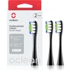 Image de Oclean Professional Clean P1C5 B02 tête de rechange Noir 2 pcs