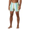 Image de Helly-Hansen Boxer Newport 499 Iced Matcha Multistripe Wd pour homme