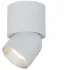 Image de The Light Group SLC Design Cup Surface Plafonnier en saillie, LED, 3234546,