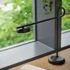 Image de Northern Salto Lampe de table, LED, 730,