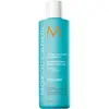 Image de Moroccanoil Shampooing Extra Volume