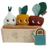 Image de Mon premier Jardin Garden of Adventures Multicolore