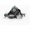 Image de SKF Pompe à eau + kit de courroie de distribution pour VOLKSWAGEN: Sharan, Touran, Polo, Lupo, Transporter, Golf, Passat, Fox (Ref: VKMC 01250-2)