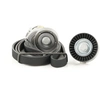 Image de SKF Kit de courroie d'accessoire pour VOLKSWAGEN: Touran, Golf Cabriolet, Tiguan, Golf, Eos, Jetta, Polo, Passat, Scirocco (Ref: VKMA 31047)