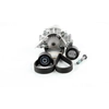Image de SKF Pompe à eau + kit de courroie de distribution pour FIAT: Ulysse, Scudo & LANCIA: Phedra, Zeta & PEUGEOT: 307, 206, 806, 406, 407 (Ref: VKMC 03235)