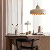 Image de PR Home Wells Suspension, E27, 2834318,