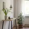 Image de PR Home Solo Suspension, E27, 4161318,