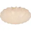Image de PR Home Plafond Plafonnier E27, 2255-L021,