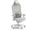 Image de Fractal Design Refine Mesh Light Gaming Chair - Ergonomic Office Desk Chair Functionality with 4D Adjustable Armrests, High-Back Support, Lumbar Cushion, and Breathable Mesh