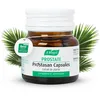 Image de A.VOGEL Prostasan   Complément alimentaire pour homme   Lutte contre L’hypertrophie bénigne de la prostate   Stimule l’érection & l’éjaculation - Extrait de palmier nain   30 capsules
